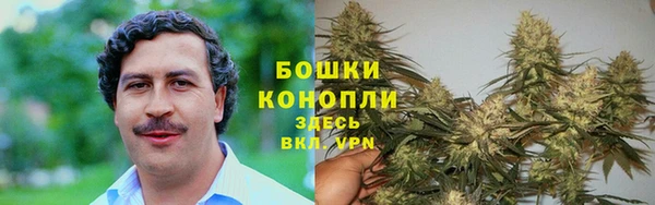 амф Новозыбков