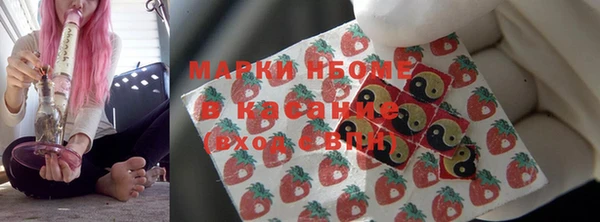 амф Новозыбков