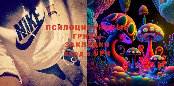 соль ск Новодвинск