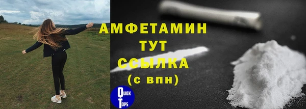 амф Новозыбков