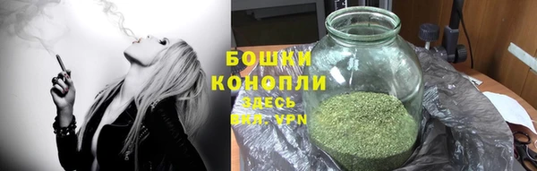 ALPHA PVP Нязепетровск