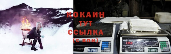 амф Новозыбков