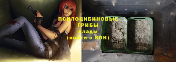 соль ск Новодвинск