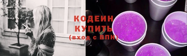 амф Новозыбков