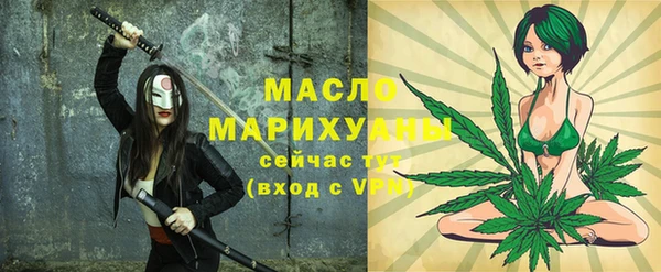 амф Новозыбков