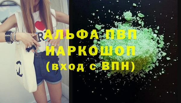 соль ск Новодвинск