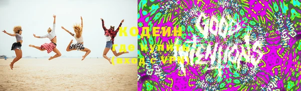 амф Новозыбков
