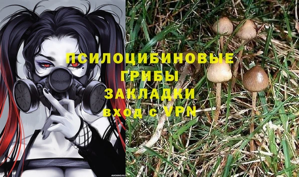 Альфа ПВП Новокубанск