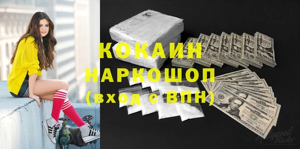 амф Новозыбков