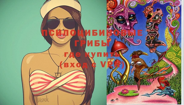 Альфа ПВП Новокубанск