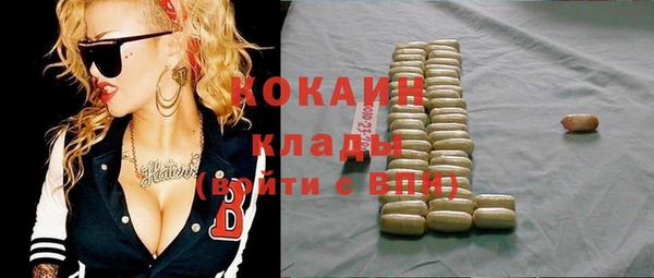 соль ск Новодвинск