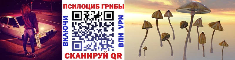 Галлюциногенные грибы ЛСД Остров